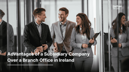 Advantages of a Subsidiary Company Over a Branch Office in Ireland blog