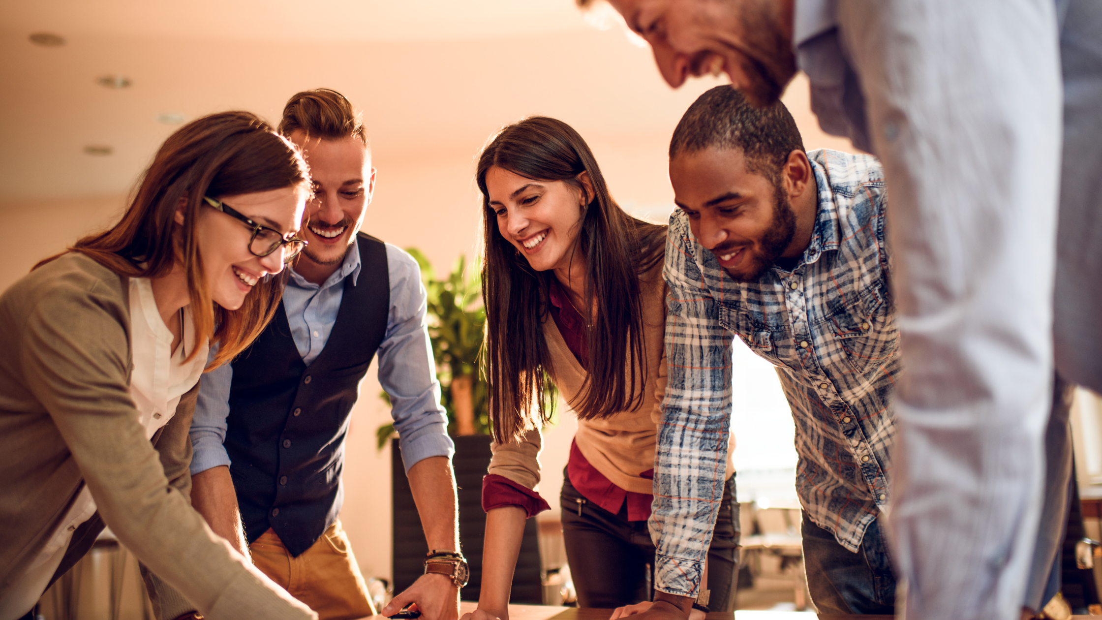 assess the culture of your organisation or team