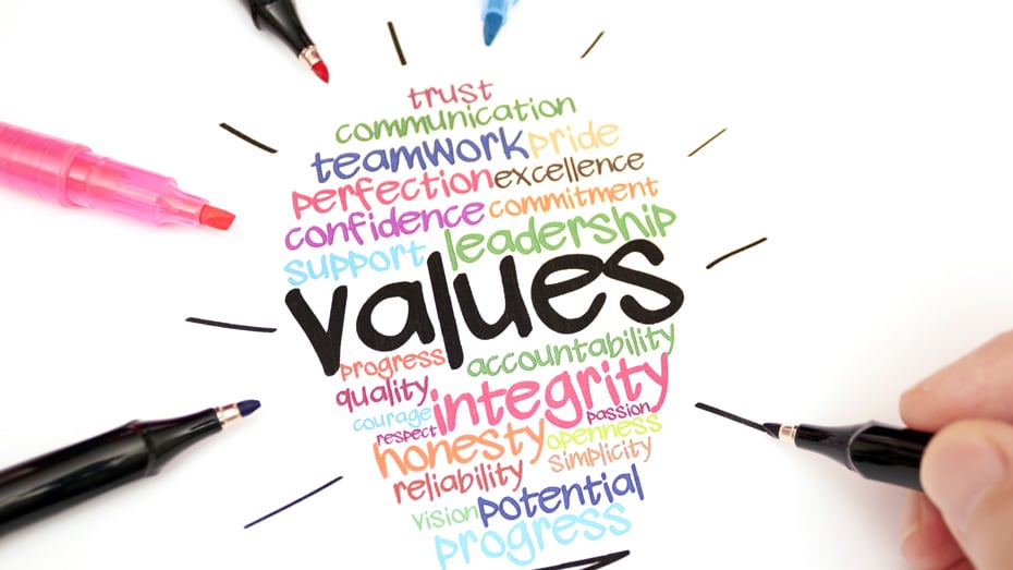 common cultural values in organisations